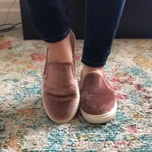 Pink velvet Steve Madden slip ons